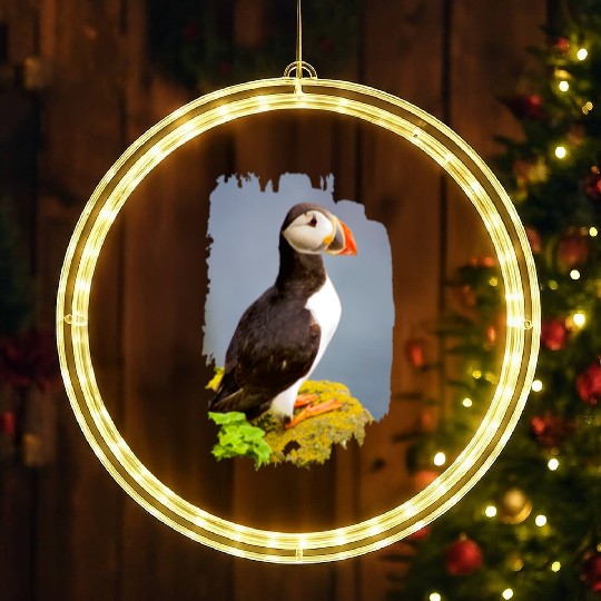 Atlantic Puffin LED Christmas Window Lights