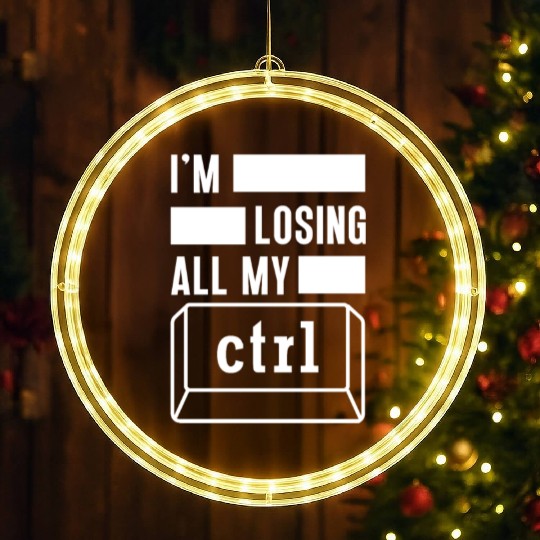 Cyber Security Computer Key Software Engineer LED Christmas Window Lights