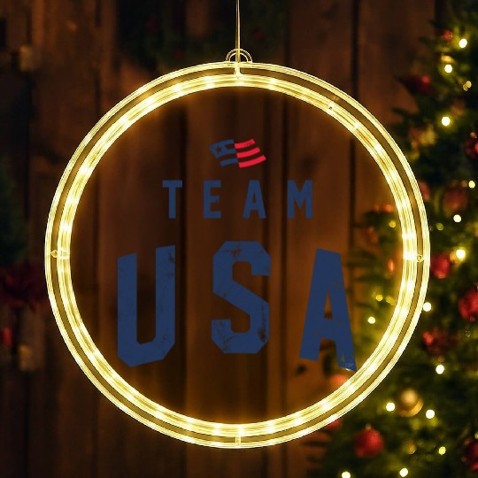 TEAM USA USED LOOK LED Christmas Window Lights