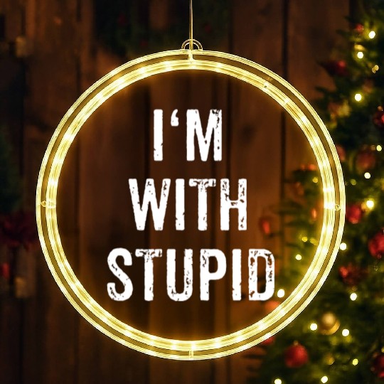 I'm With Stupid Couple Best Friend Part 1 Matching LED Christmas Window Lights