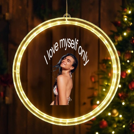 I love myself only LED Christmas Window Lights