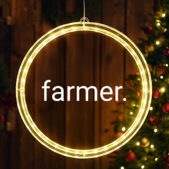 farmer"farmer" - minimalistic Design LED Christmas Window Lights