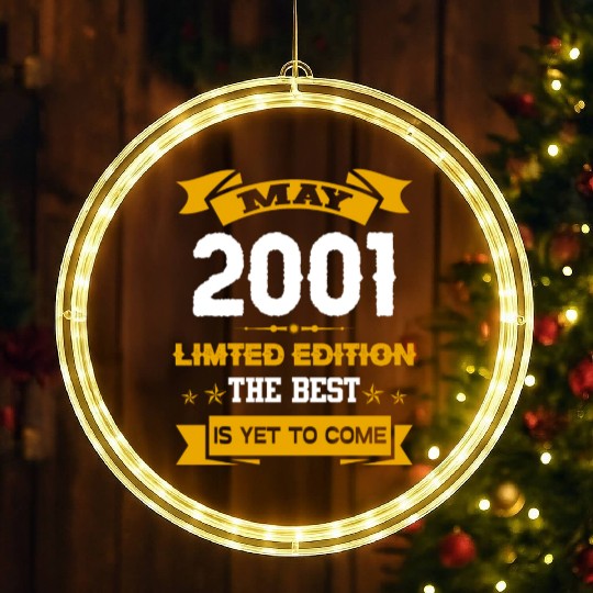 May 2001 Birthday Surprise LED Christmas Window Lights