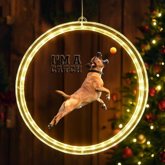 Big Dog Bull Mastiff Catching a Ball, I'm a Catch LED Christmas Window Lights