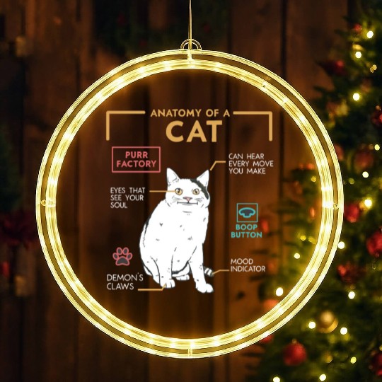 Funny Weird Cat Meme Smiling Anatomy of A Cat LED Christmas Window Lights