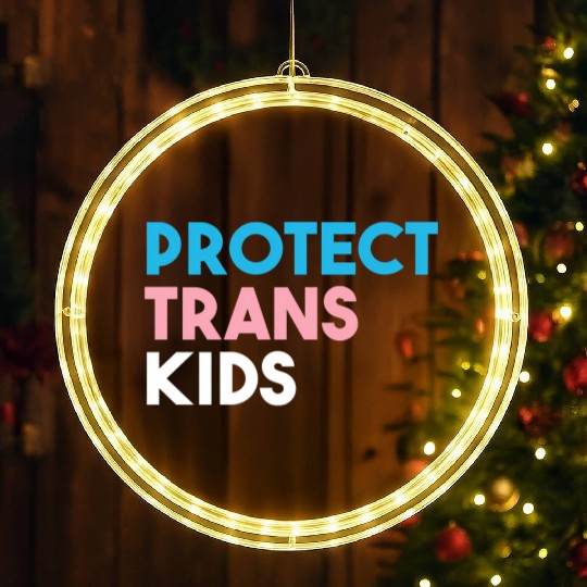 Protect Trans Transgender Pride LED Christmas Window Lights