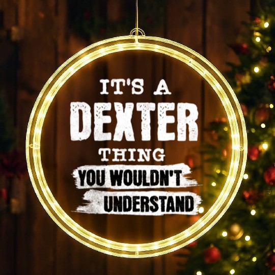 It's A Dexter Thing You Wouldn't Understand, First LED Christmas Window Lights