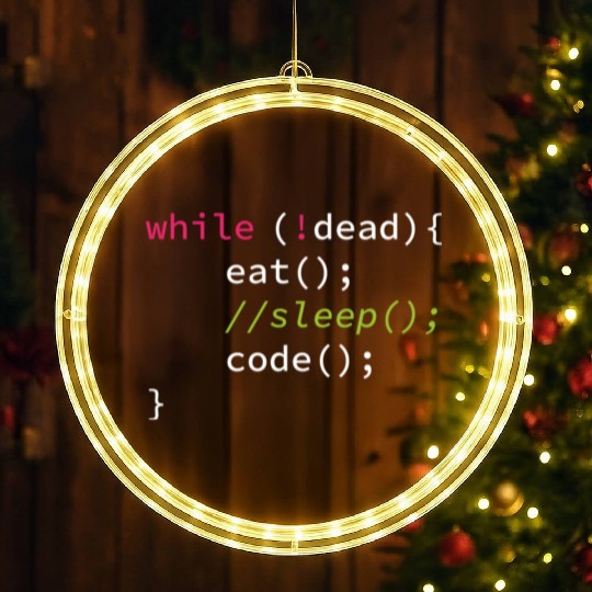 Funny Coding Computer Science Programmer Eat Sleep LED Christmas Window Lights