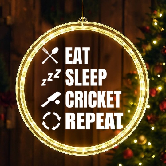 Cricket Player Daily Routine LED Christmas Window Lights