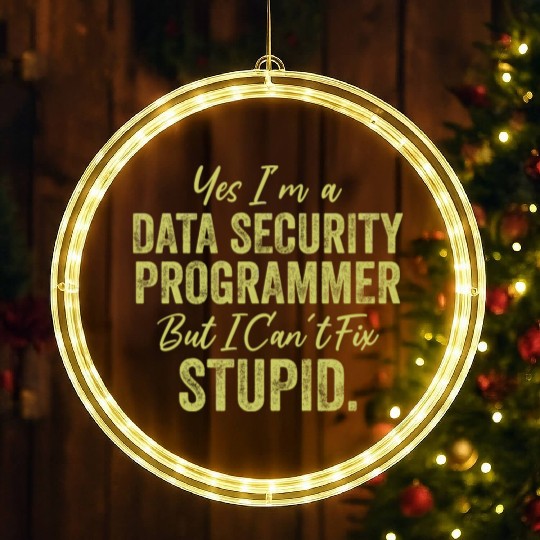 Yes I'm A Data Security Programmer But I Can't Fix LED Christmas Window Lights