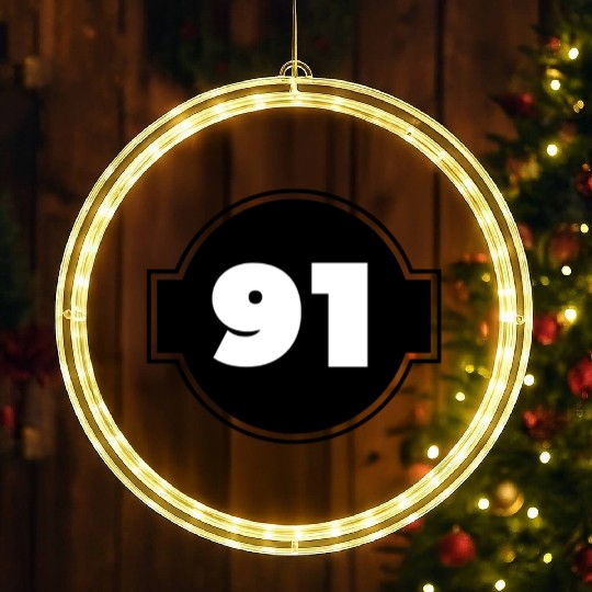 Congratulations Today 91 Years Old - Ninety-Nine LED Christmas Window Lights