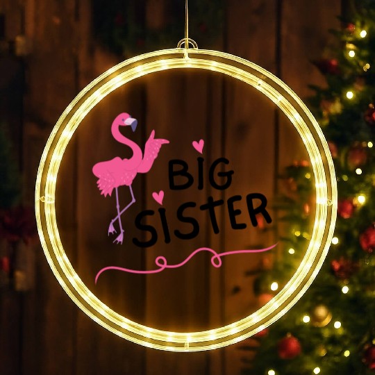 Big Sister Little Brother Matching Outfits Toddler LED Christmas Window Lights