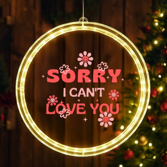 Sorry I Can't Love You . LED Christmas Window Lights