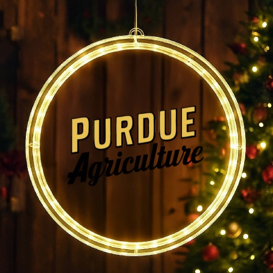Purdue Agriculture LED Christmas Window Lights
