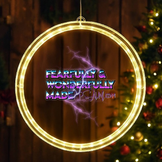 Fearfully & Wonderfully Made LED Christmas Window Lights