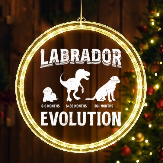 Labrador EVOLUTION Labrador Lovers Funny LED Christmas Window Lights