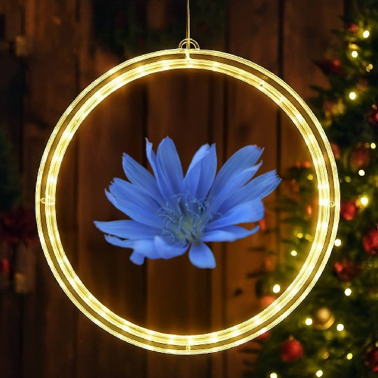 blue flower blueweed purple blossom LED Christmas Window Lights
