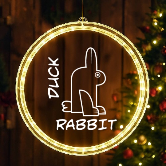 Rabbit Duck Meme Science Math Geek Philosophy LED Christmas Window Lights
