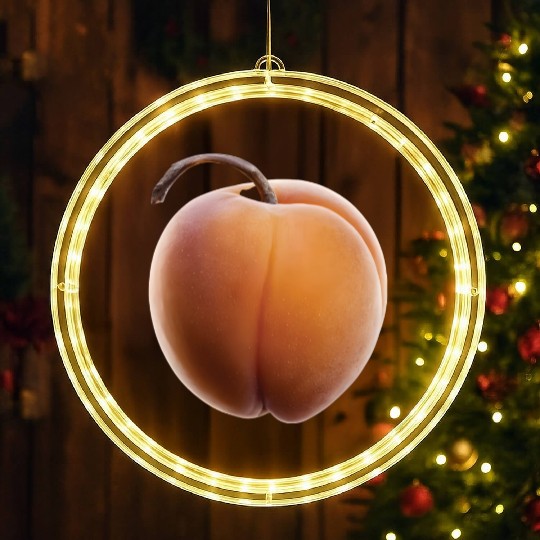 Apricot Realistic LED Christmas Window Lights