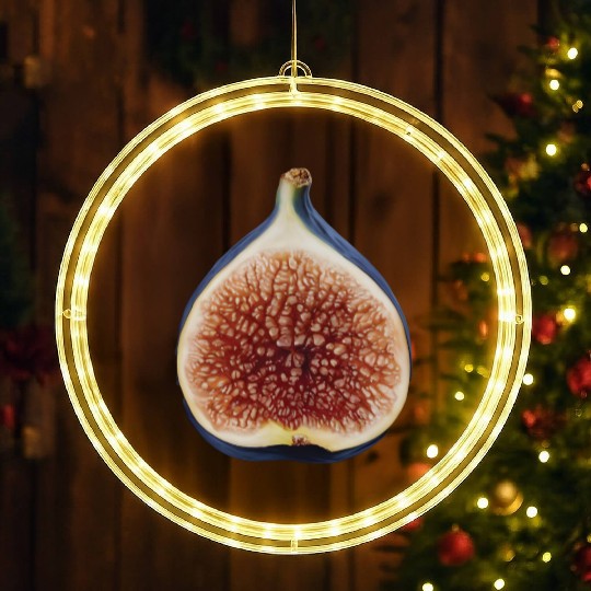 Fig Realistic LED Christmas Window Lights
