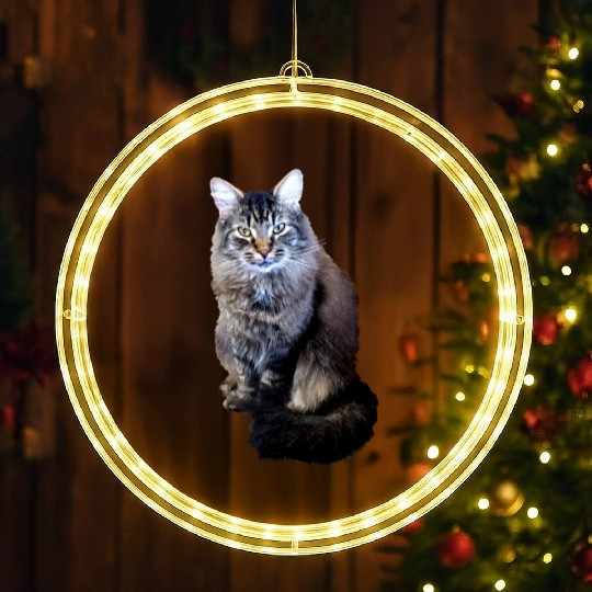 Indie the Cute Cat LED Christmas Window Lights