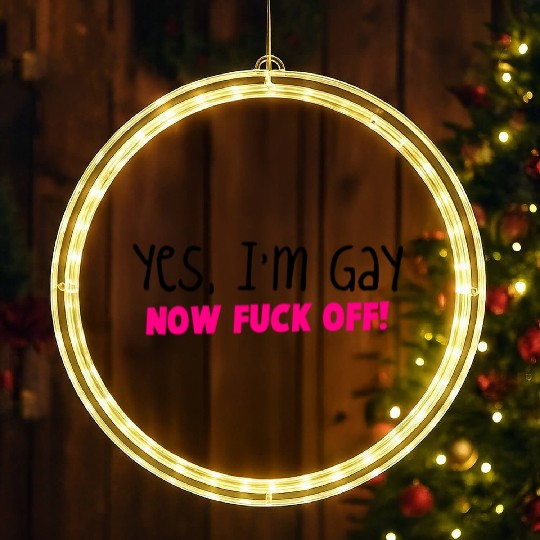 YES I'm GAY- now F*** OFF! LED Christmas Window Lights