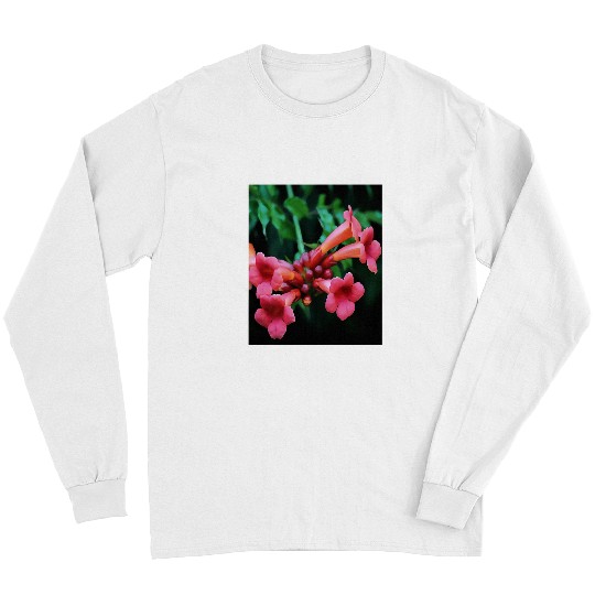 Trumpet Lover Pink Trumpet Honeysuckle Botanical Art Long Sleeves
