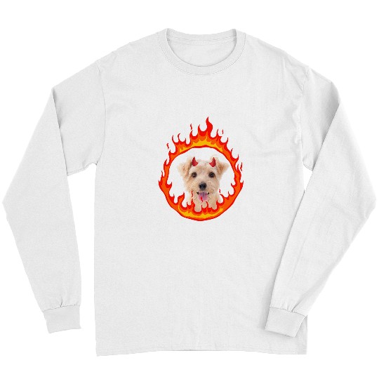 Devil Dog Norfolk Terrier Long Sleeves