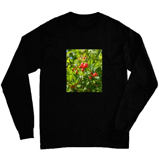 Pomegranate Closed Red Flower Bud Photography Long Sleeves