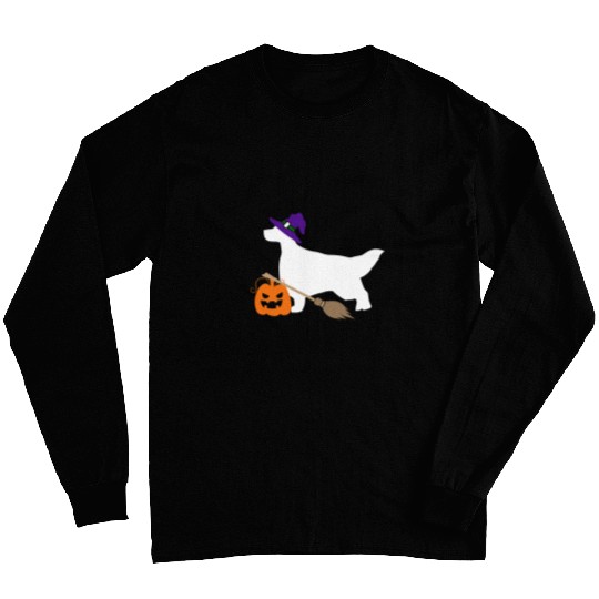 English Setter Witch Hat Halloween Dog Costume Long Sleeves