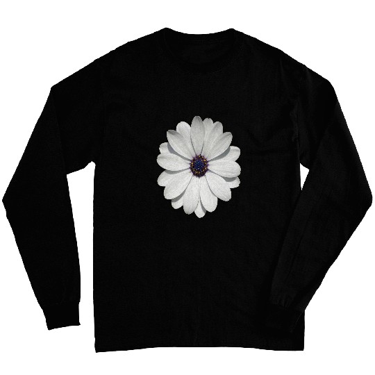White Osteospermum Daisy Festival Flower Vector Art Long Sleeves