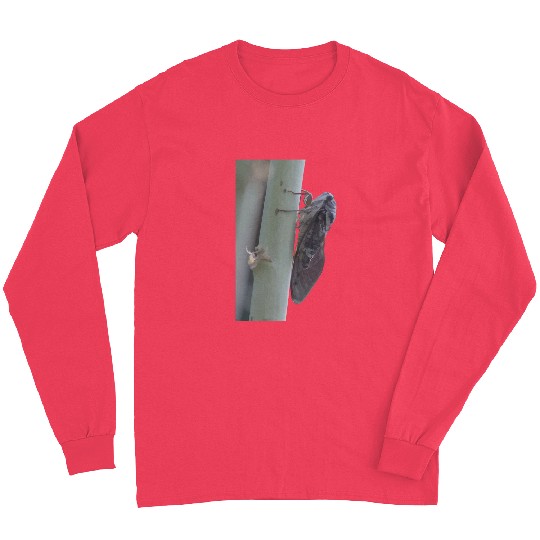 Cicada Vector Cut Out Long Sleeves