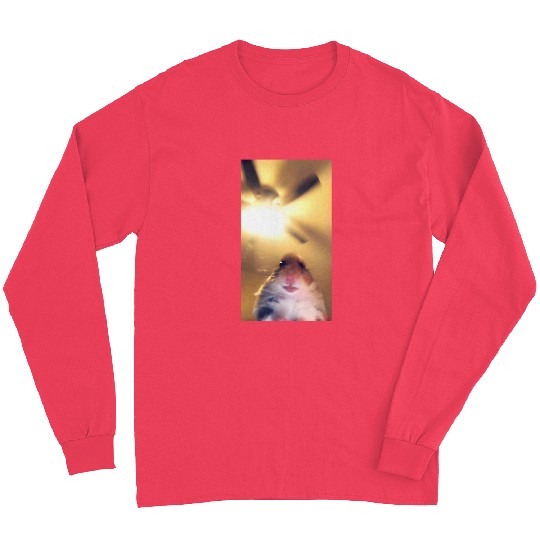 Hamster Meme Camera Hamster Funny Webcam Long Sleeves