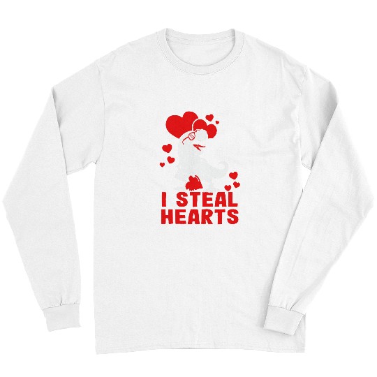Dinosaur Pet I Steal Hearts Dinosaur Valentines Day For Baby Boys Toddler 2 8 Long Sleeves