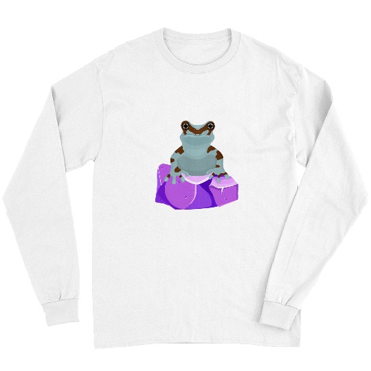 Frog Pet Crystal Amethyst Gemstone for Toad Owners Long Sleeves