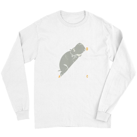 Hippo Pet Hippopotenuse Hippopotamus Funny Math Geometry 1 Long Sleeves