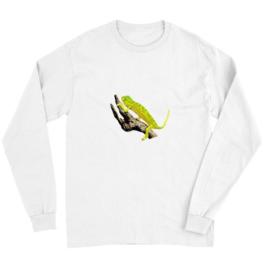 Chameleon Pet Reptile in Kenya Africa Long Sleeves