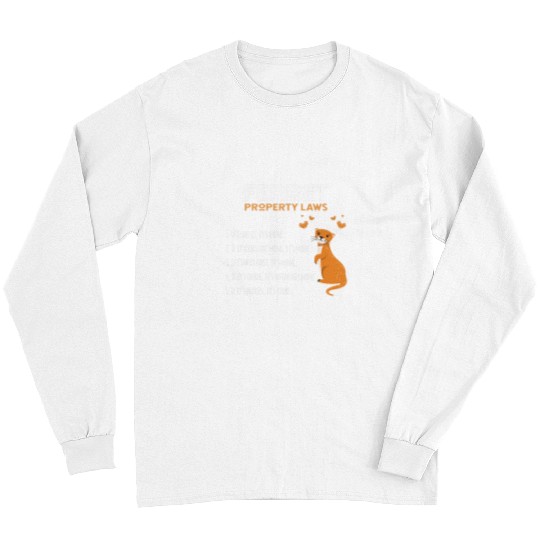 Funny Ferret Property Laws Five Statements By Ferrets Long Sleeves