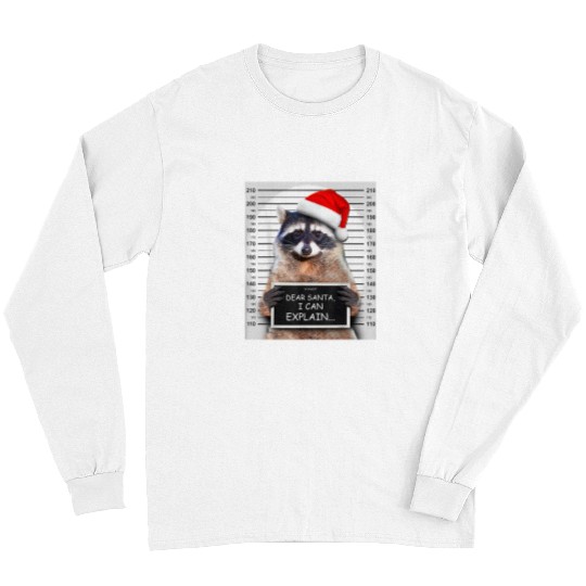 Raccoon Pet Dear Santa I Can Explain Funny Christmas Raccoon Long Sleeves