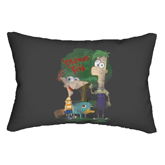 Disneys Phineas And Ferb Hanging Out With Perry Distressed Lumbar Pillows