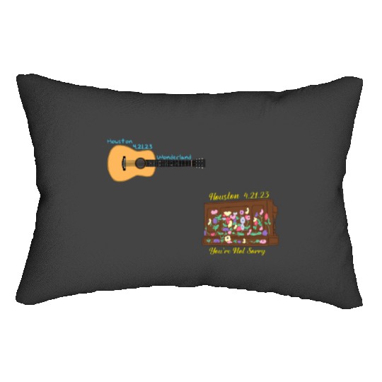 Houston N1 Eras Tour Surprise Songs PackActive Lumbar Pillows