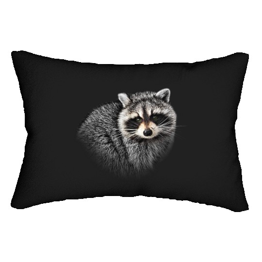 A Gentle Raccoon Lumbar Pillows