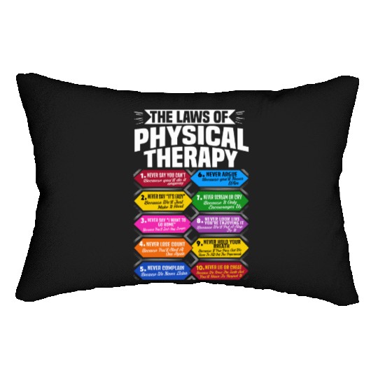 The Laws Of Physical Therapy Awesome Therapist Lumbar Pillows