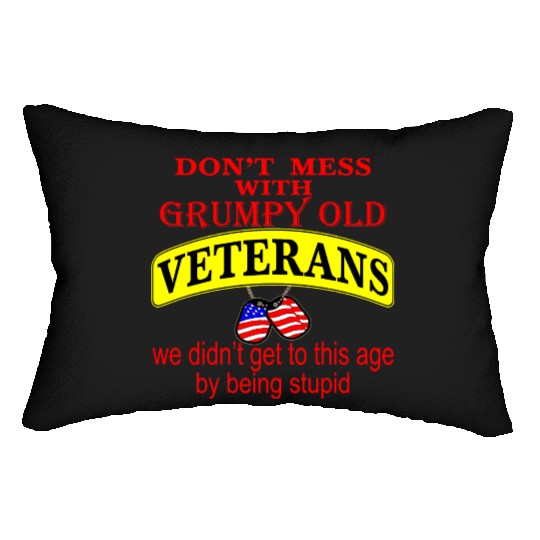 Don’t Mess With Grumpy Old Veterans We Didn’t Get Lumbar Pillows