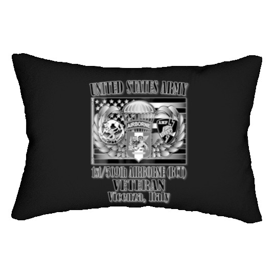 1 509th Airborne BCT Veteran Back Design Lumbar Pillows