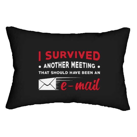 Entrepreneur I Survived Another Meeting E-Mail CEO Lumbar Pillows