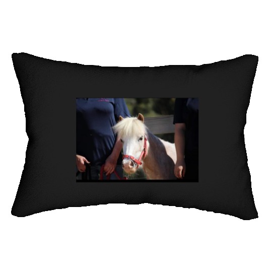 Screenshot 20220619 180220 Facebook Lumbar Pillows