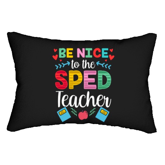 Be Nice To The Sped Teacher Special Education Cute Lumbar Pillows
