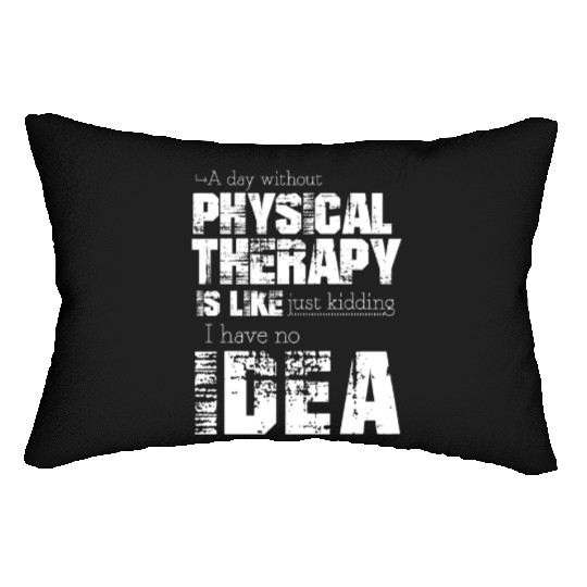 Physical therapy Lumbar Pillows