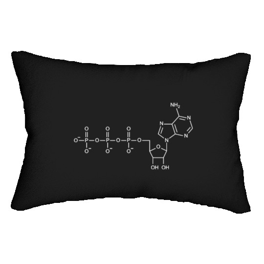Atp Formula For Biology Science Teacher Lumbar Pillows
